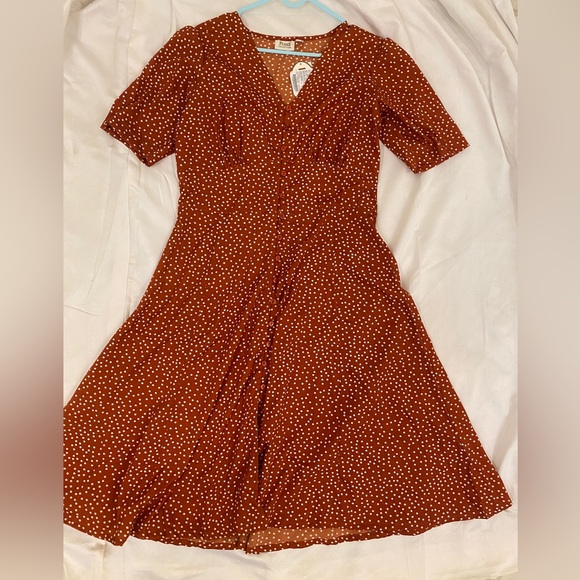 Dresses & Skirts - Plus S collection.. brand new polka dot dress